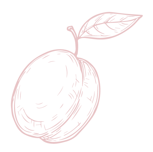 Apricot Oil Icon